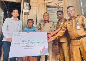 PLN Aliri Listrik Gratis untuk 190 Keluarga Lembata, Wabup Nasir Apresiasi