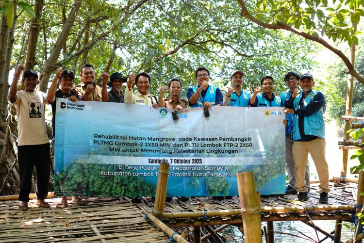 PLN UIP Nusra Tanam 7.000 Mangrove di Padak Guar, Teguhkan Komitmen Jaga Lingkungan