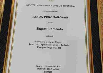 Lembata Raih Penghargaan Kemenkes atas Capaian Penurunan Stunting