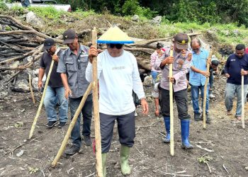 Bupati Lembata Blusukan ke Lahan Jagung Industri, Pemberdayaan Petani Digenjot