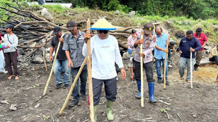 Bupati Lembata Blusukan ke Lahan Jagung Industri, Pemberdayaan Petani Digenjot