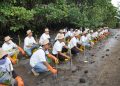 Hari Menanam Pohon Indonesia, PLN Grup NTB Tanam 5.000 Bibit Mangrove di Pesisir Lombok Timur