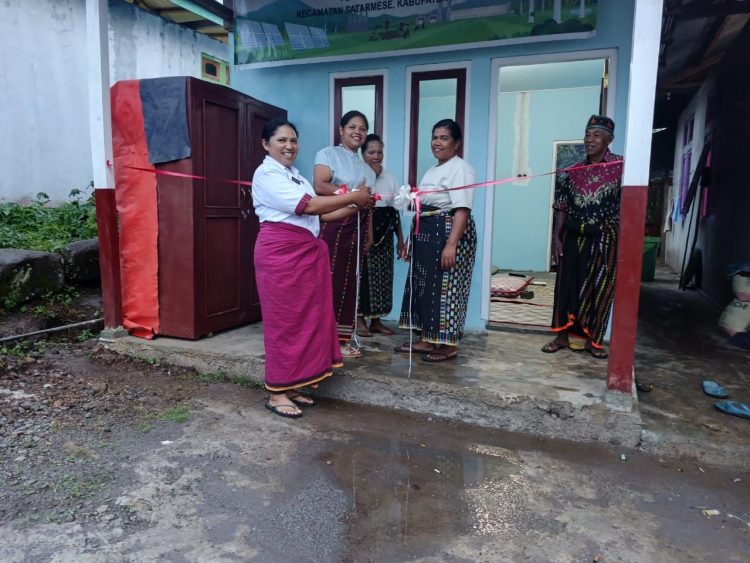 PLN UIP Nusra Hadirkan Rumah Produksi Temu Lawak di Desa Wewo