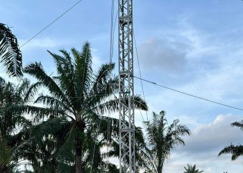 PLN Terus Kebut Siang Malam Perbaiki Jalur Listrik Langsa-Pangkalan Brandan, Penopang Pemulihan Kelistrikan Aceh