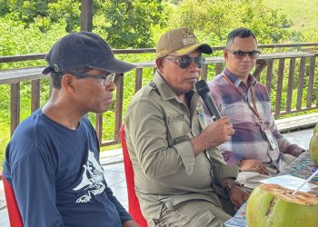 Rumah Walet Bukit Cinta, Upaya Lembata Mencari Sumber Ekonomi Baru?