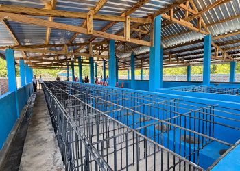 Kandang Babi, Ambisi Besar, dan Taruhan APBD Lembata