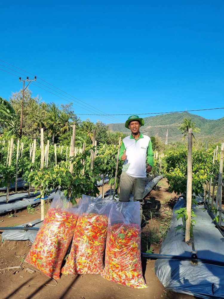 Hadakewa di Tengah Pemangkasan Dana Desa: Strategi Klemens Kwaman Menolak Ketergantungan