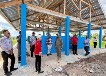 Bukit Ruminansia, Nasib Peternak Kecil dan Ambisi Ekonomi Lembata