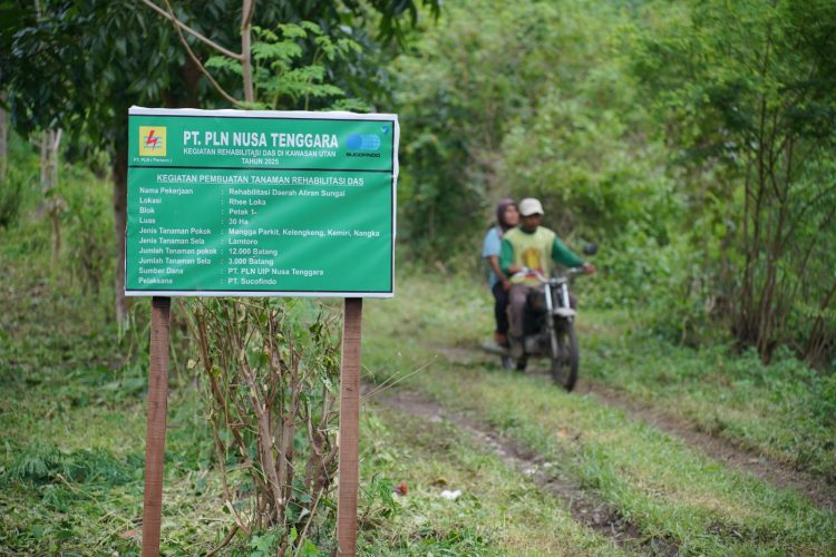 PLN Tanam 30 Ribu Pohon, Perkuat Rehabilitasi DAS Manni di Sumbawa