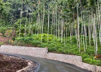 Dari Aspal ke Tanggung Jawab: Konsistensi PT Kurnia Mulia Mandiri Bangun Jalan Berkualitas di Adonara