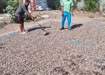 Dermaga Ferry Waijarang Rusak, Harga Komoditas Anjlok; Pemda dan ASDP Masa Bodoh