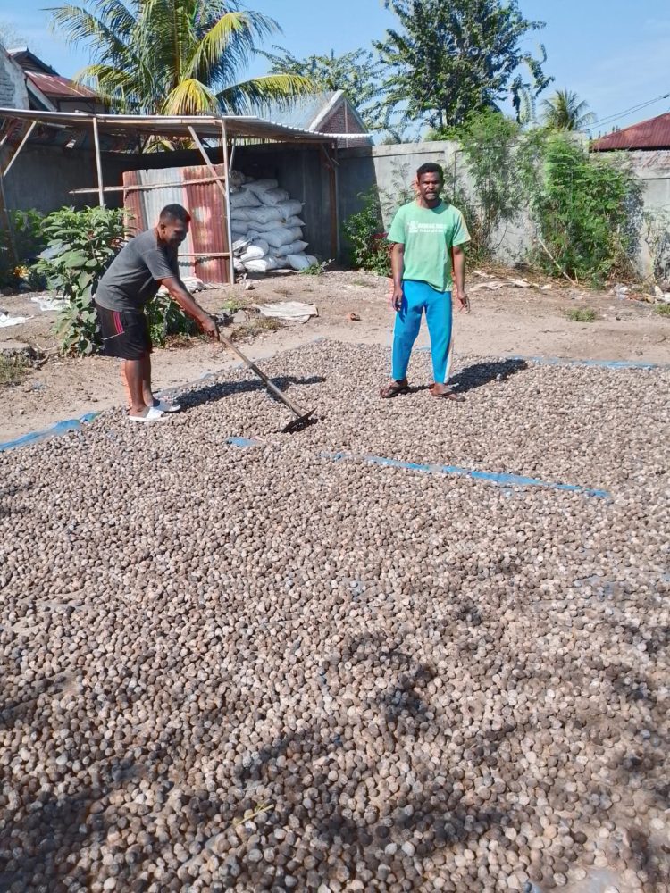Dermaga Ferry Waijarang Rusak, Harga Komoditas Anjlok; Pemda dan ASDP Masa Bodoh