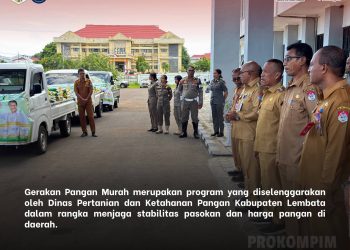 Jelang Hari Besar Keagamaan, Dinas Pertanian Lembata Luncurkan Pangan Murah