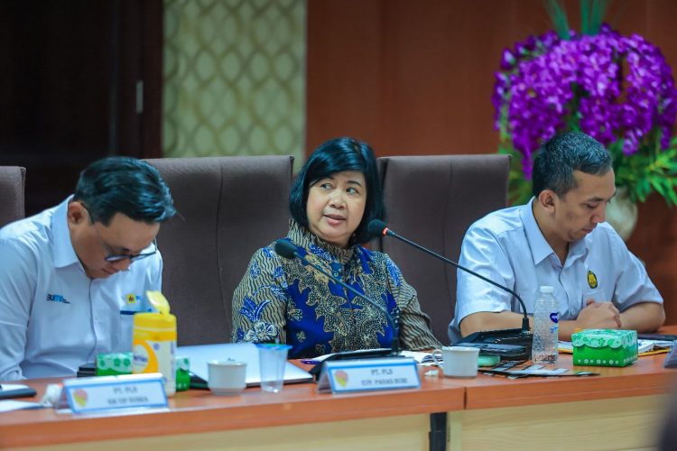 PLN Perkuat Transisi Energi Bersih, Geothermal Jadi Harapan Baru Flores