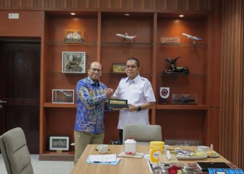 PLN dan Pemprov NTT Gelar Audiensi, Perkuat Sinergi Transisi Energi di NTT