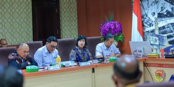 PLN Tegaskan Pengembangan Geothermal Berbasis Ilmiah, Akademisi Pastikan Manifestasi Alamiah