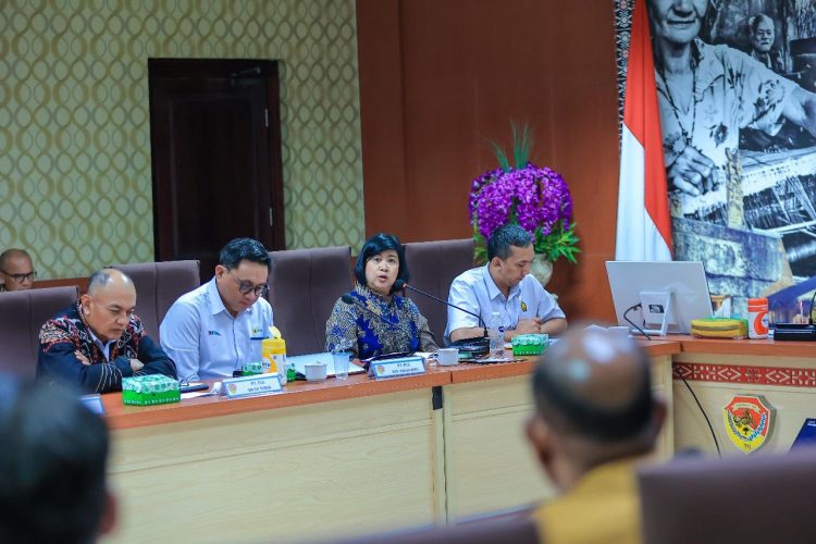 PLN Tegaskan Pengembangan Geothermal Berbasis Ilmiah, Akademisi Pastikan Manifestasi Alamiah