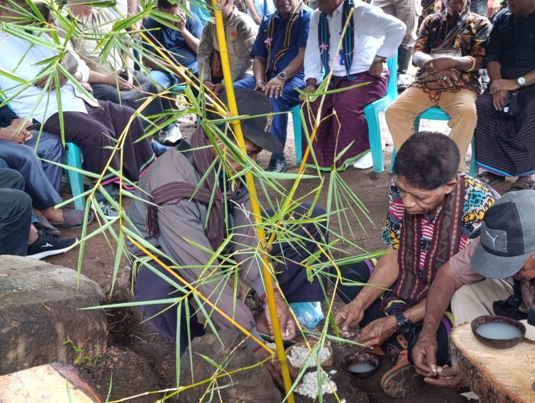 Yayasan IDEP Apresiasi Masyarakat Adat Todanara, Muro Dinilai Perkuat Konservasi Laut Berbasis Lokal