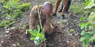 Bupati Kanis Dorong Pengembangan Jambu Mete Skala Besar di Lembata