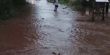 Banjir Lewoleba: Buruknya Tata Kota dan Pekerjaan Rumah untuk Bupati Kanis