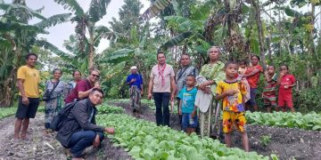 Belajar dari TTS, Jalan Panjang Transformasi Pertanian Flores Timur