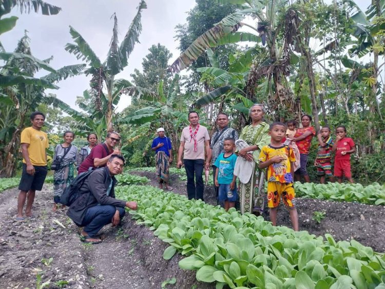 Belajar dari TTS, Jalan Panjang Transformasi Pertanian Flores Timur