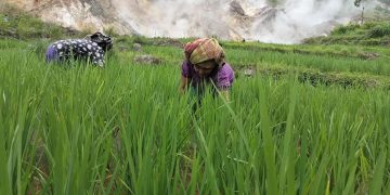 Pemprov NTT Dorong pengembangan Geothermal di Flores, PLN UIP Nusra Perkuat Komitmen Hadirkan Energi Bersih