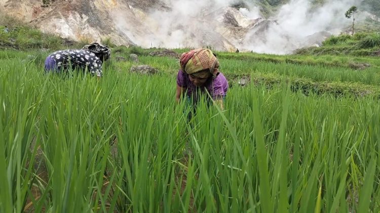 Pemprov NTT Dorong pengembangan Geothermal di Flores, PLN UIP Nusra Perkuat Komitmen Hadirkan Energi Bersih