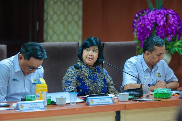 Edukasi Geothermal Diperkuat, PLN Gandeng Ahli UGM Jelaskan Fenomena Alam di Flores