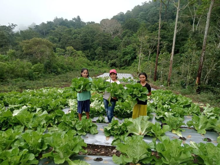 Geothermal Flores Dorong Pertumbuhan Ekonomi dan Pemberdayaan Masyarakat