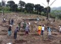PLN Wujudkan Aspirasi Masyarakat Adat Melalui Program Agroforestry Hetero di Desa Wewo