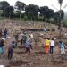 PLN Wujudkan Aspirasi Masyarakat Adat Melalui Program Agroforestry Hetero di Desa Wewo