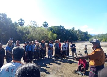 Belasan Turis Ikut Post Tour Festival Lamaholot, Belajar Bikin Garam hingga Tanam Mangrove