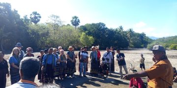 Belasan Turis Ikut Post Tour Festival Lamaholot, Belajar Bikin Garam hingga Tanam Mangrove
