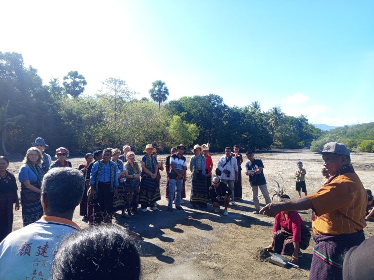 Belasan Turis Ikut Post Tour Festival Lamaholot, Belajar Bikin Garam hingga Tanam Mangrove