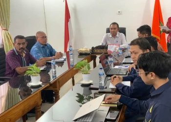PLN UIP Nusra Akan Kembangkan Panas Bumi Oka, Pemda Flotim Minta Sosialisasi Libatkan Berbagai Keahlian